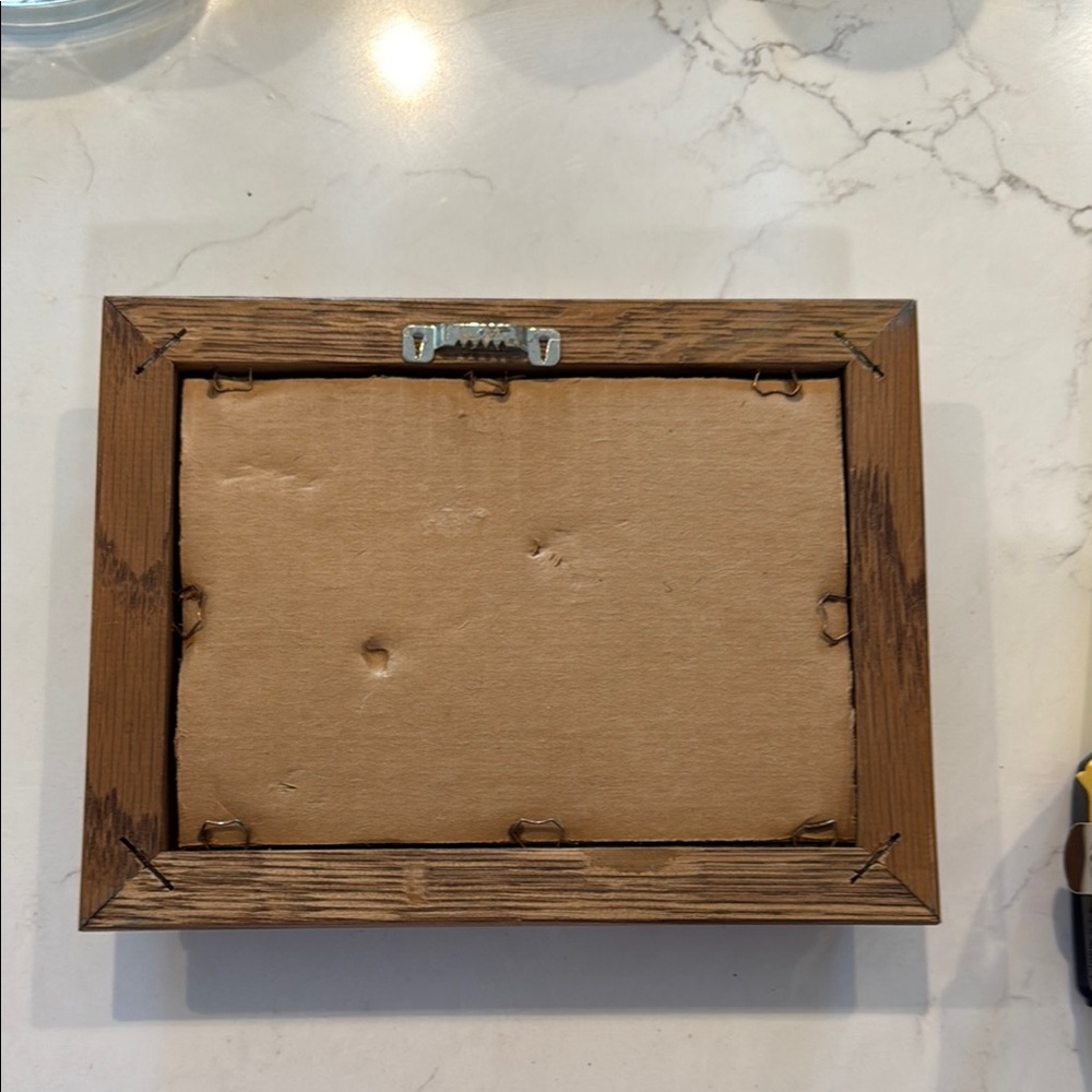 Vintage South Carolina Metal Pin Collection in Wooden Frame - Picture 4 of 4